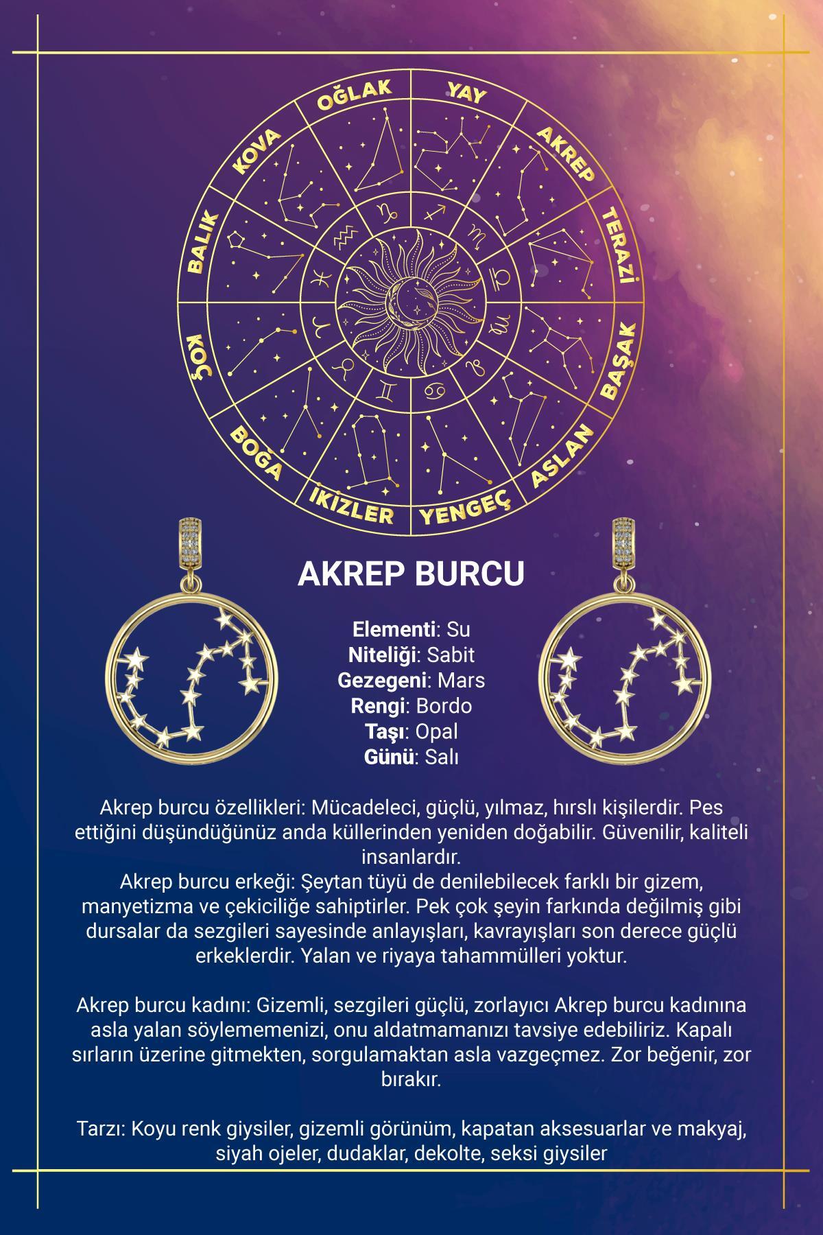 14 Ayar Altın Akrep Burcu Kolye Ucu Burç Yıldız Haritası - Fiyonk Kuyumculuk (1)