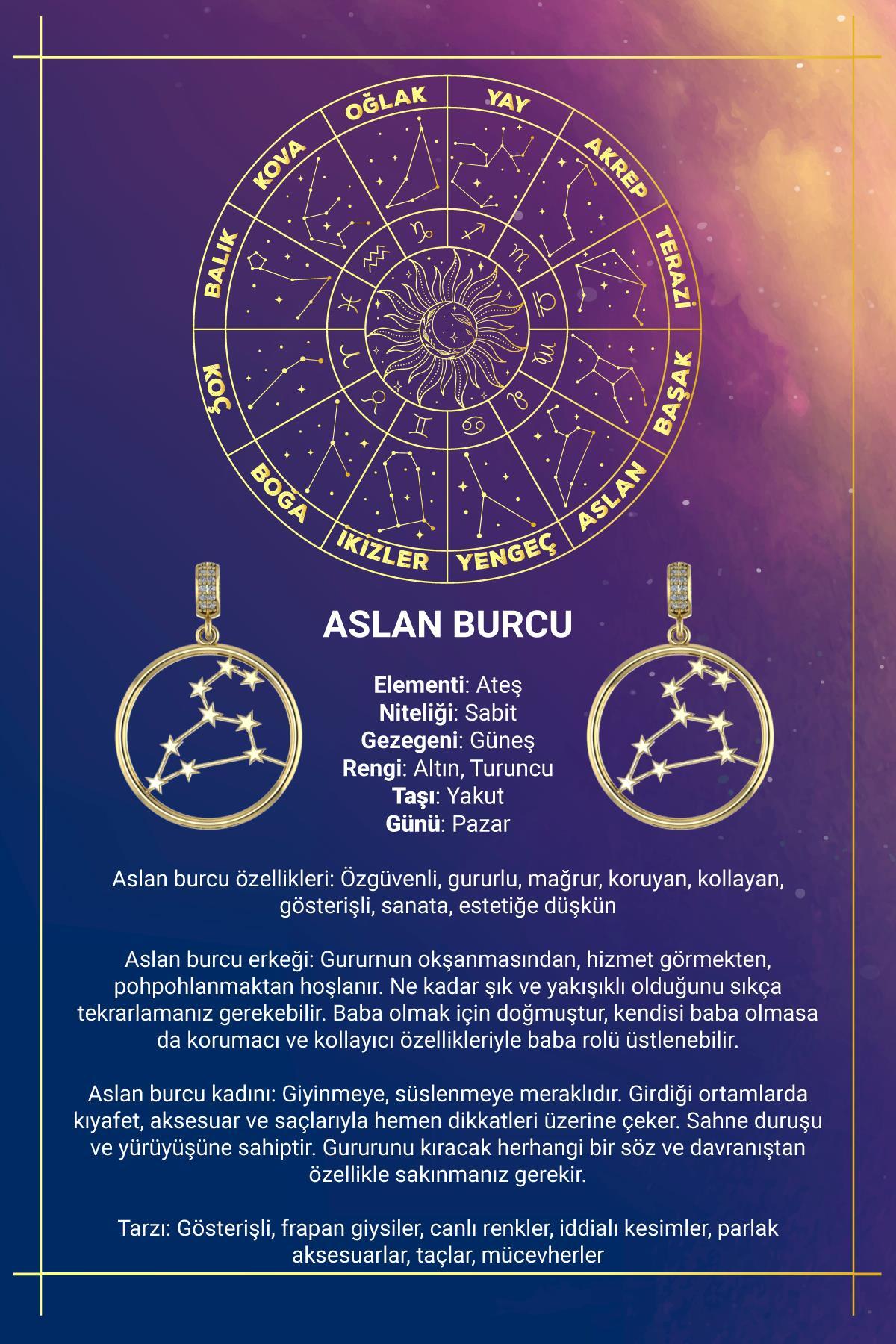 14 Ayar Altın Aslan Burcu Kolye Ucu Burç Yıldız Haritası - Fiyonk Kuyumculuk (1)