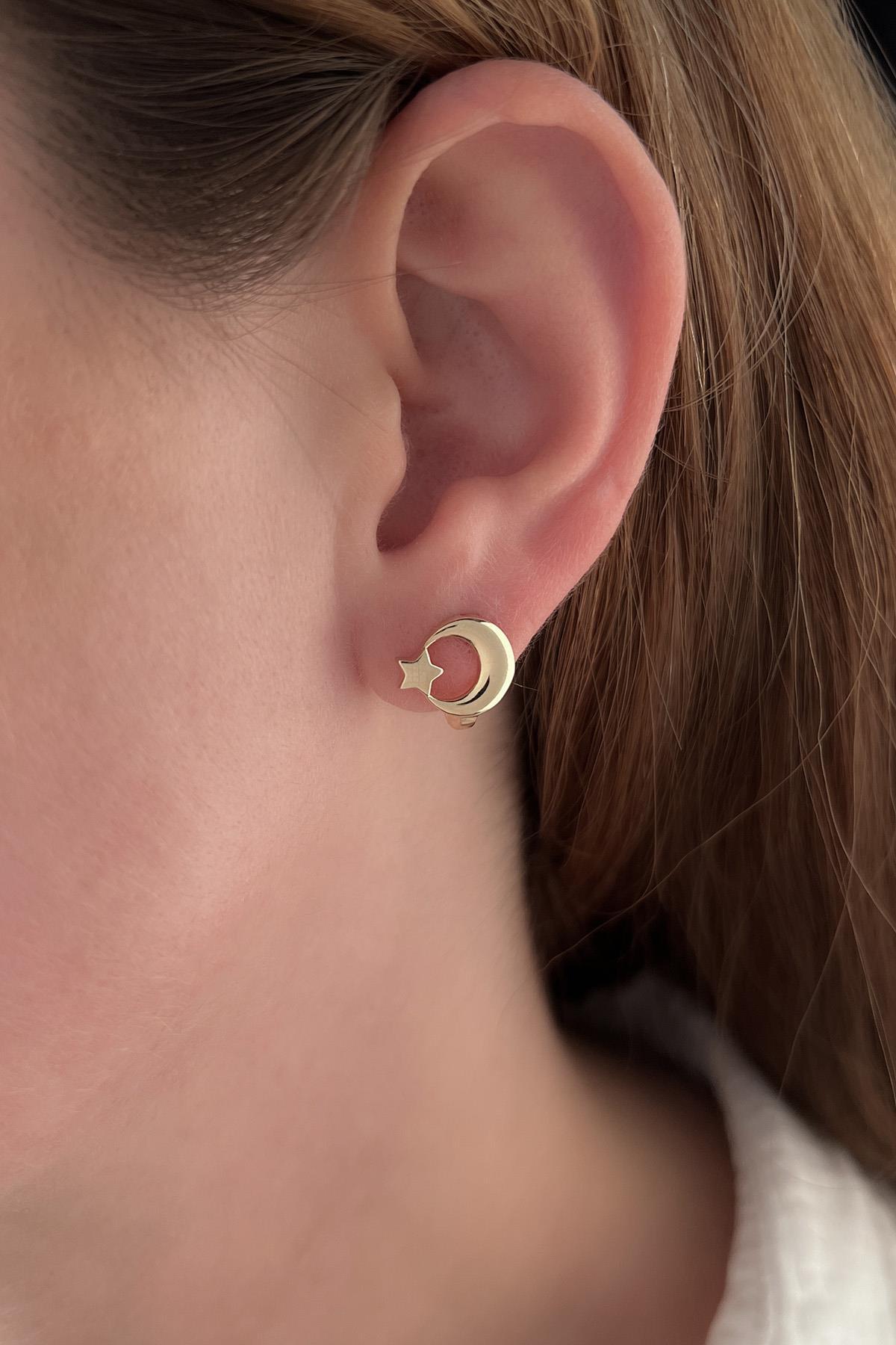 14 Ayar Altın Ay Yıldız Küpe - Fiyonk Kuyumculuk (1)