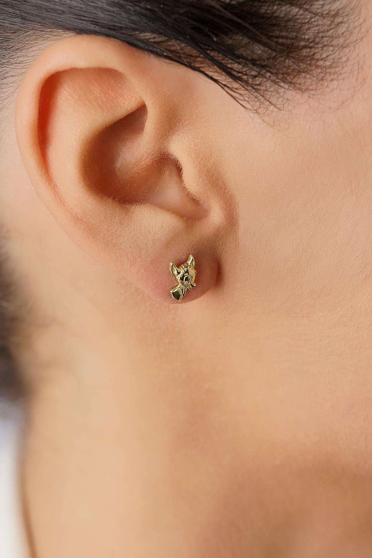 14 Ayar Altın Ceylan Küpe - Fiyonk Kuyumculuk (1)