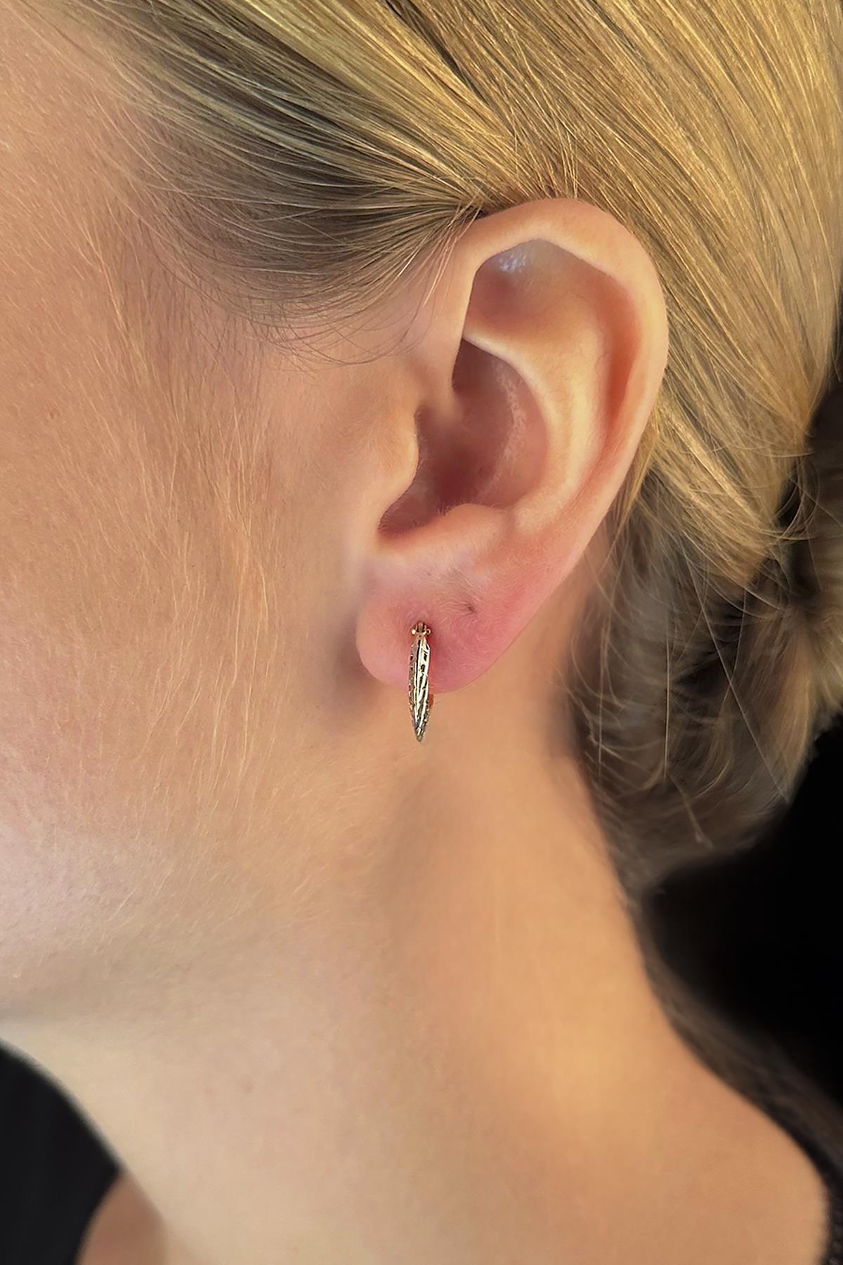 14 Ayar Altın Işıltılı Miya Küpe - Fiyonk Kuyumculuk (1)