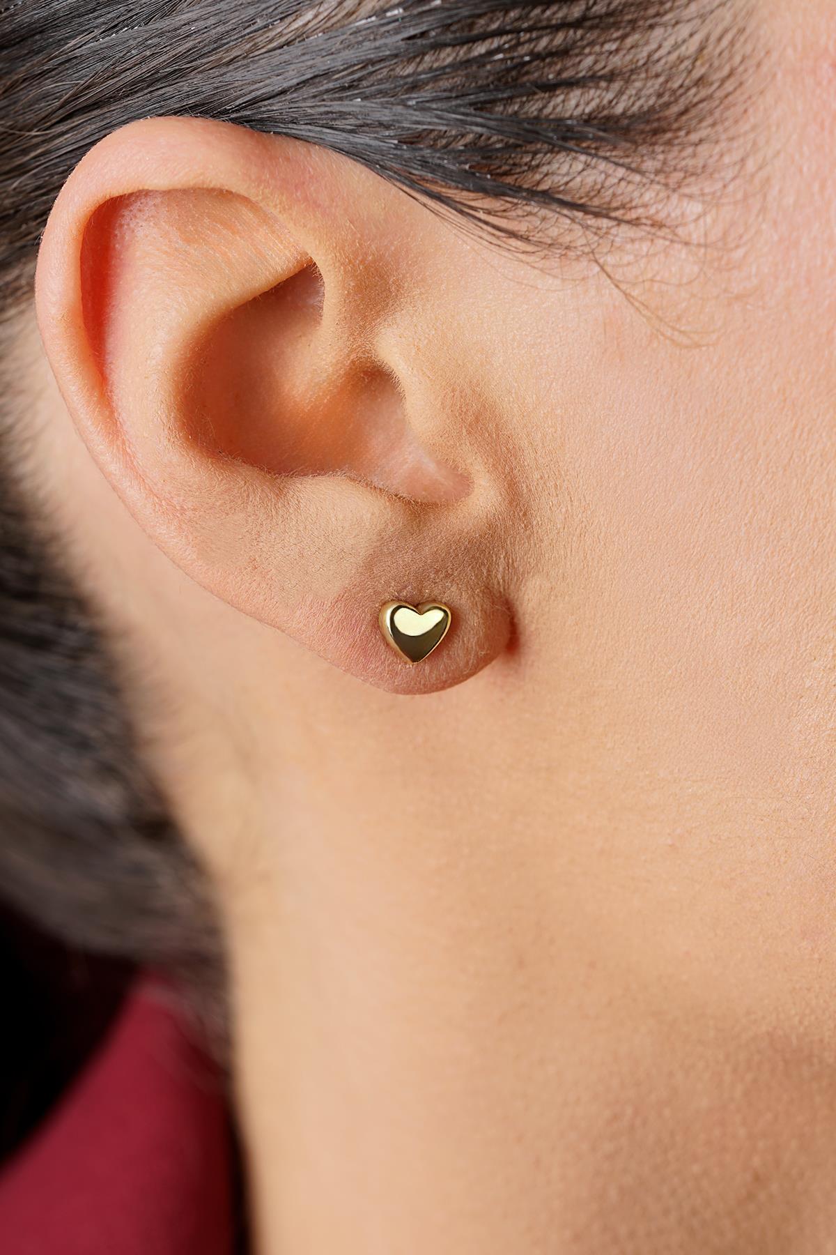 14 Ayar Altın Kalp Küpe - Fiyonk Kuyumculuk (1)