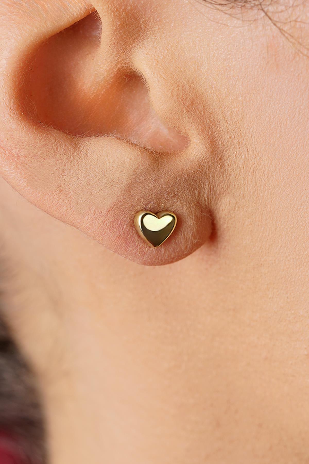 14 Ayar Altın Kalp Küpe - Fiyonk Kuyumculuk (1)