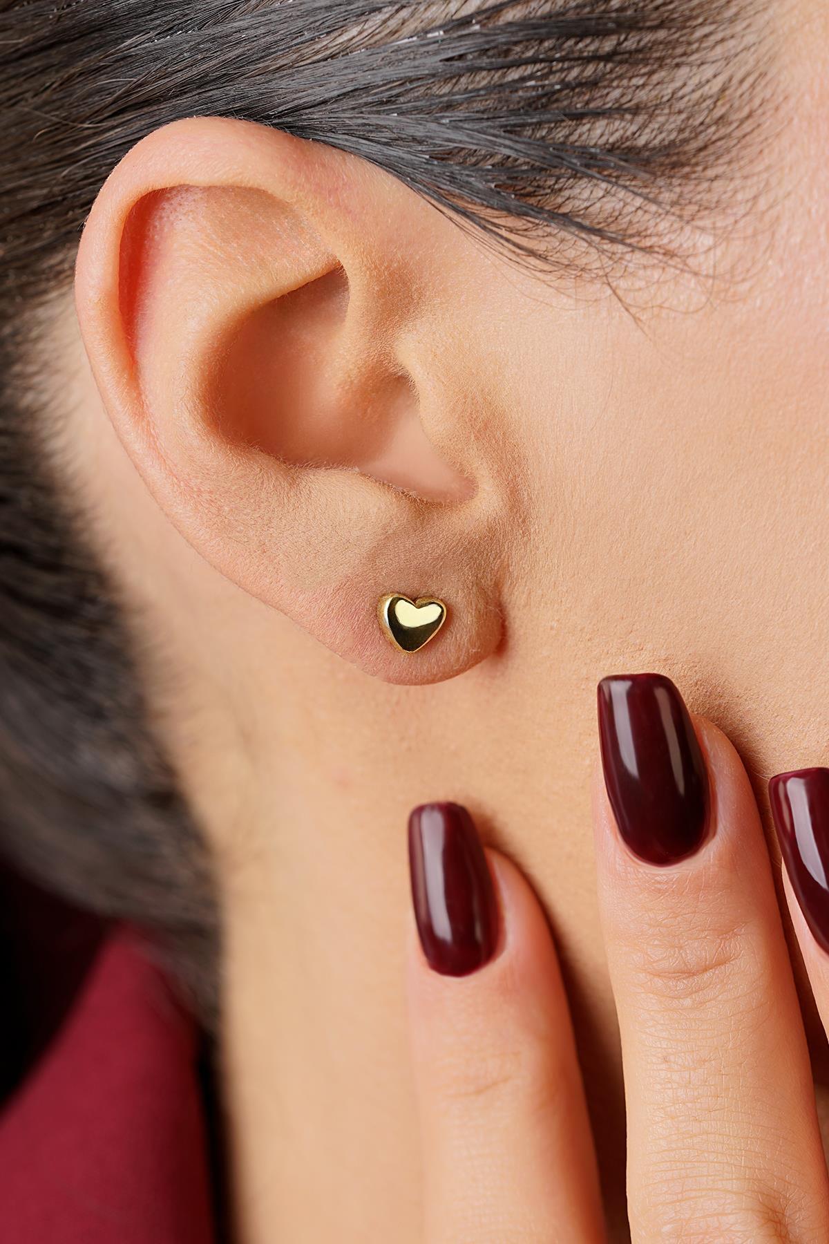 14 Ayar Altın Kalp Küpe - Fiyonk Kuyumculuk (1)