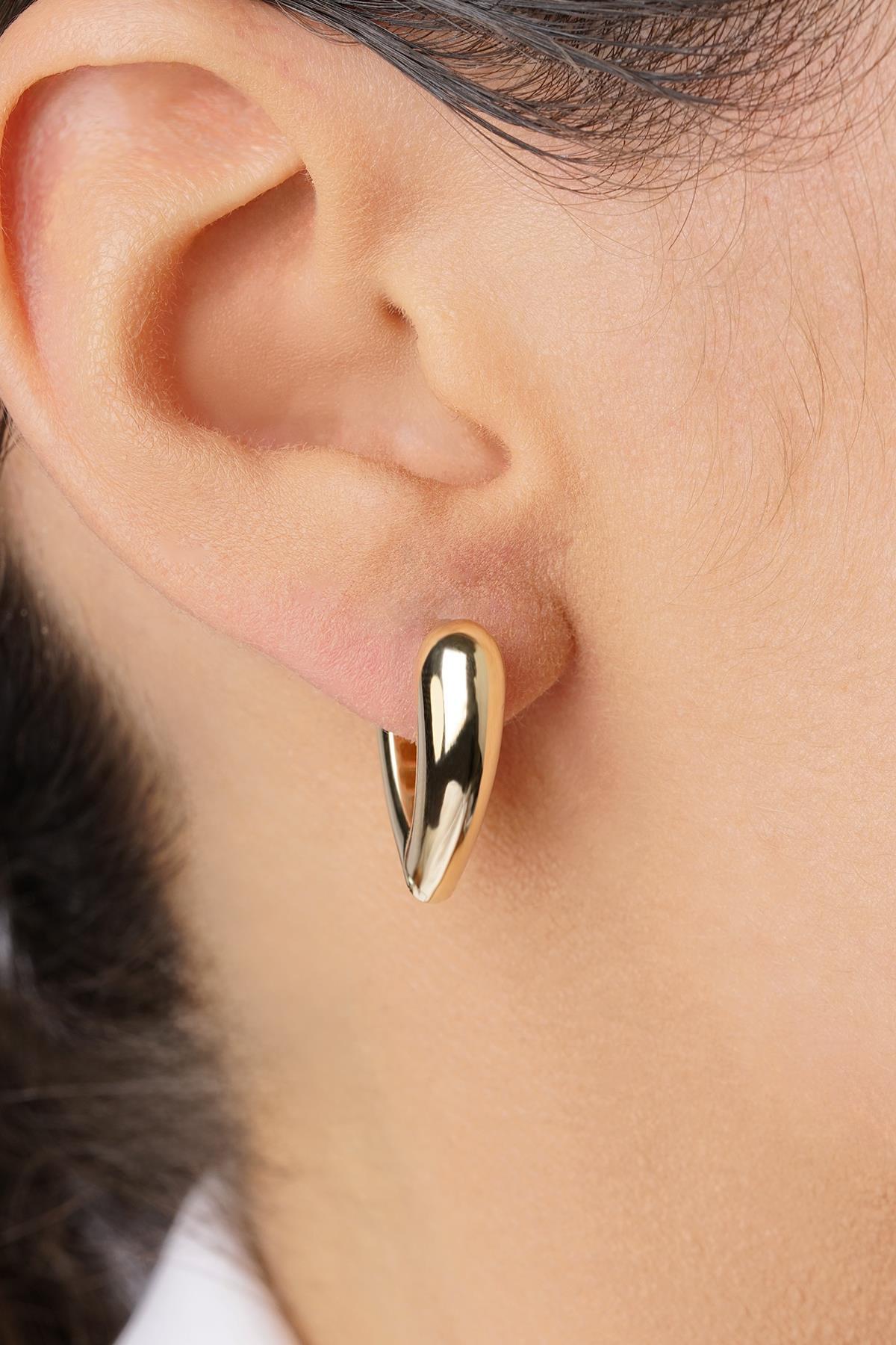 14 Ayar Altın Kalp Motifli Damla Küpe - Fiyonk Kuyumculuk (1)