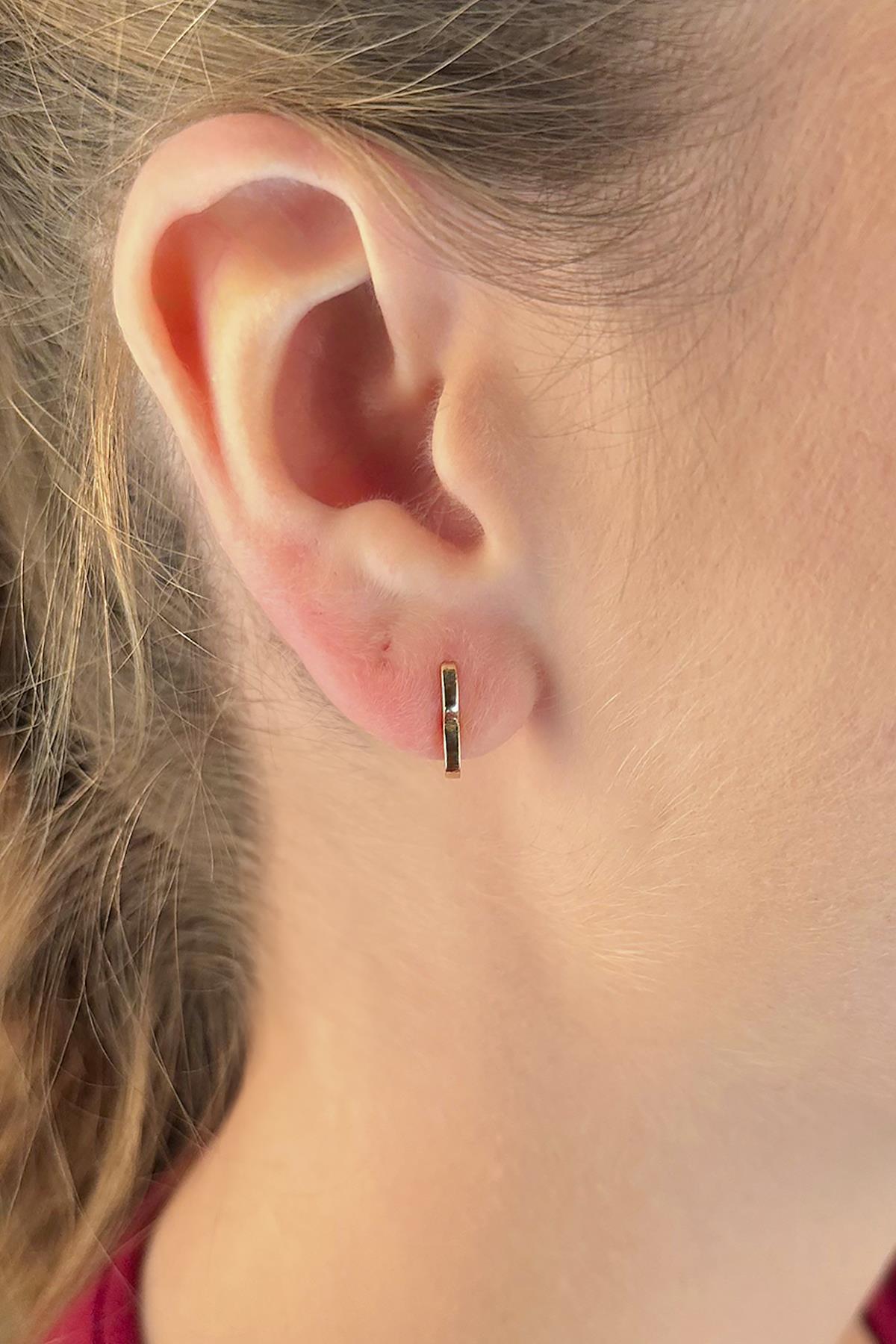 14 Ayar Altın Kalp Objeli Küpe - Fiyonk Kuyumculuk (1)