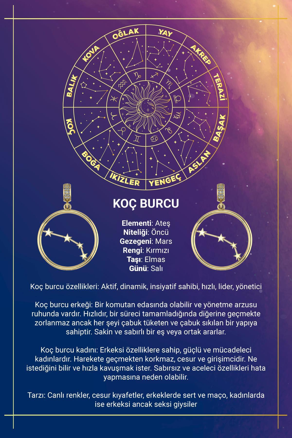 14 Ayar Altın Koç Burcu Kolye Ucu Burç Yıldız Haritası - Fiyonk Kuyumculuk (1)