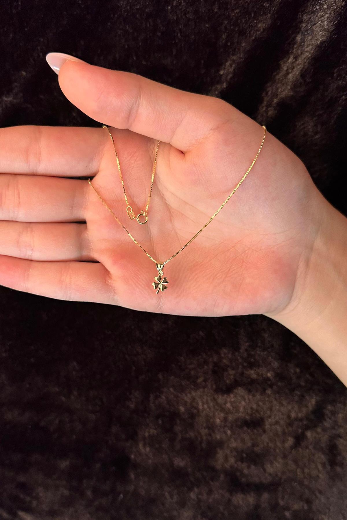 14 Ayar Altın Küp Zincir Yonca Uçlu Kolye - Fiyonk Kuyumculuk (1)