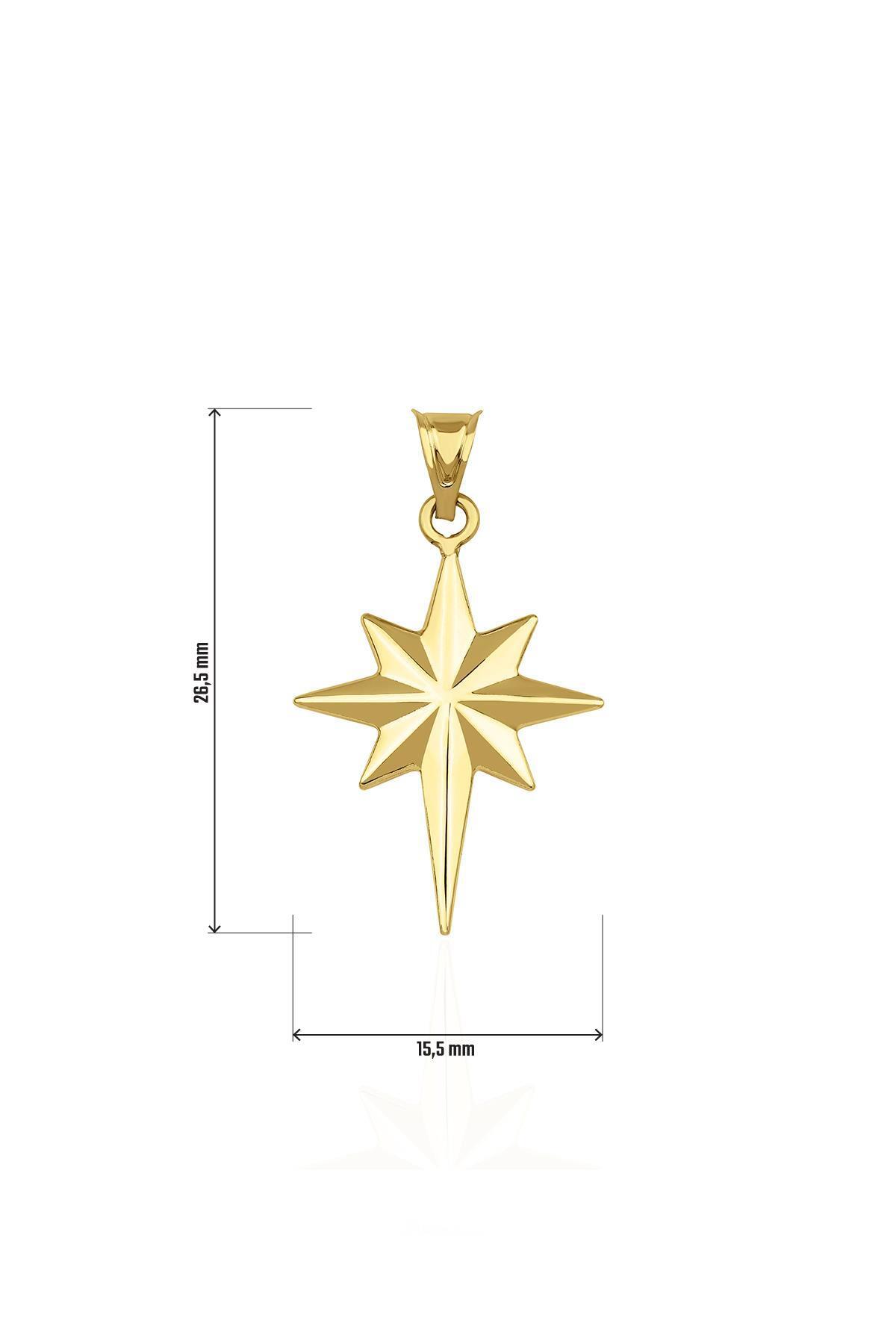14 Ayar Altın Midi Kuzey Yıldızı Kolye Ucu - Fiyonk Kuyumculuk (1)