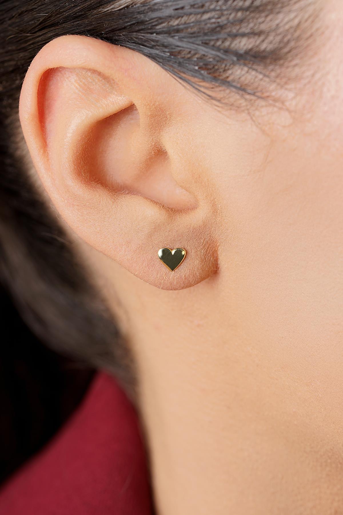 14 Ayar Altın Kabarık Kalpli Küpe - Fiyonk Kuyumculuk (1)