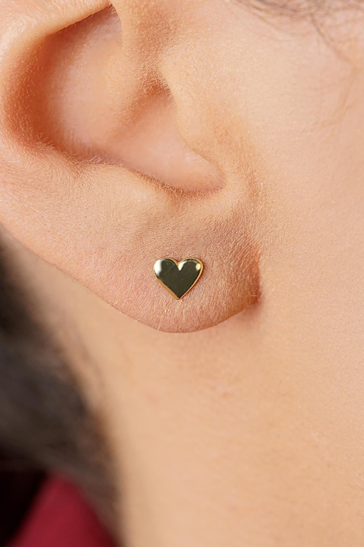 14 Ayar Altın Kabarık Kalpli Küpe - Fiyonk Kuyumculuk (1)