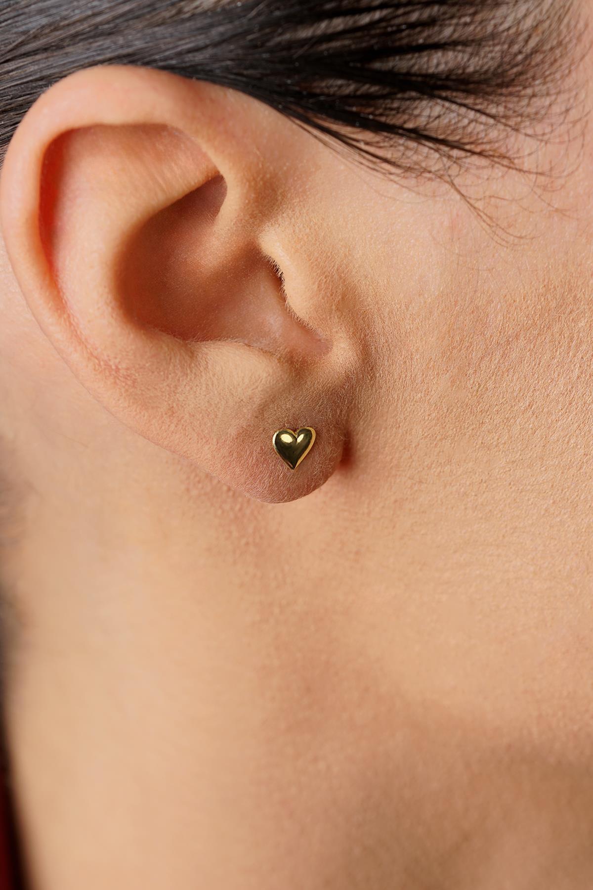 14 Ayar Altın Kabarık Kalpli Küpe - Fiyonk Kuyumculuk (1)